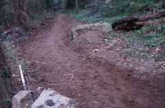 PICT0913.JPG