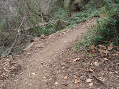 DSC00249.JPG