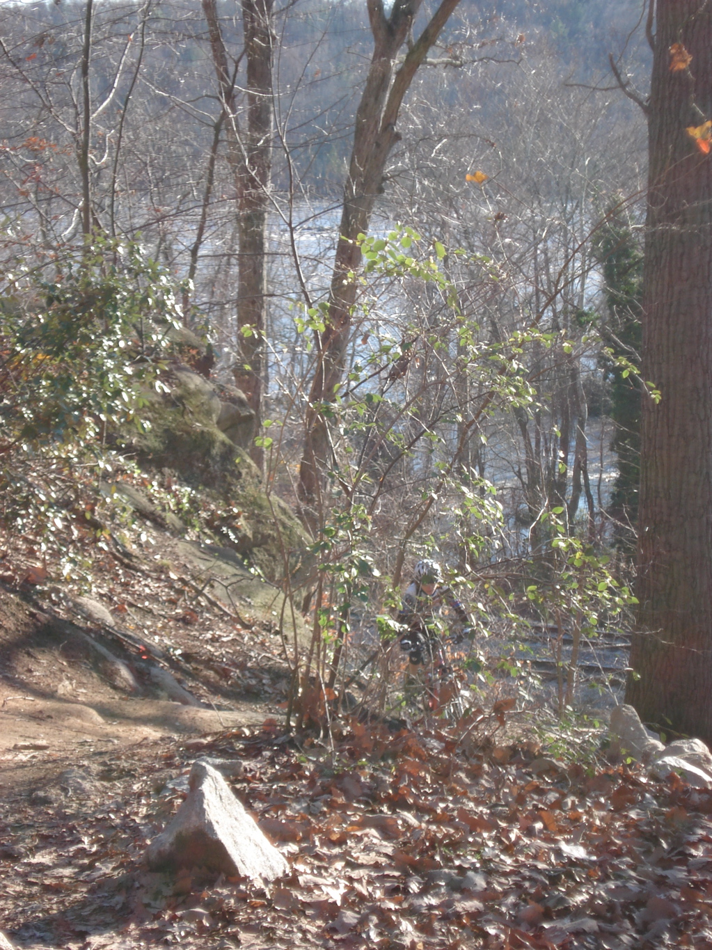DSC00337.JPG