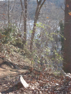 DSC00337.JPG