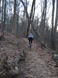 DSC00340.JPG
