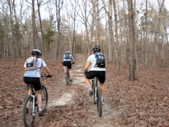 DSC00328.JPG