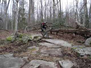 DSC00395.JPG