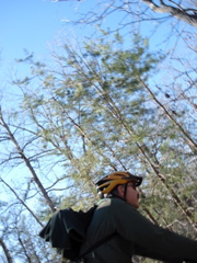 DSC00437.JPG