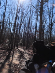 DSC00423.JPG