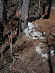 DSC00506.JPG