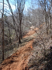 DSC00512.JPG
