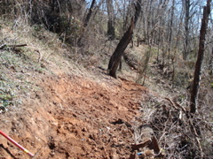 DSC00495.JPG