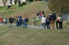 PICT1187.JPG