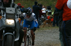 PICT1079.JPG