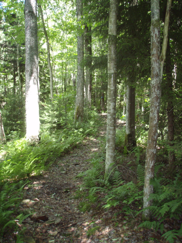P1040024.JPG