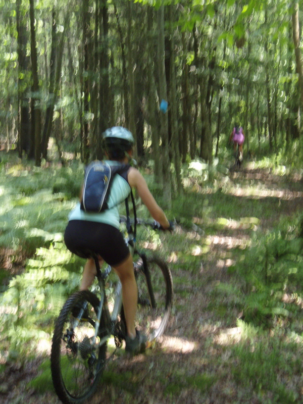 P1050055.JPG