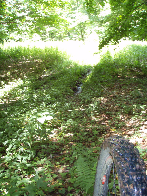 P1040010.JPG