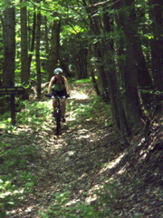 P1040014.JPG