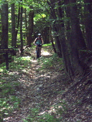 P1040015.JPG
