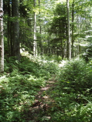 P1040017.JPG