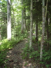 P1040024.JPG