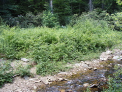 P1040026.JPG