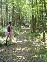 P1050054.JPG