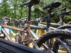 P1050063.JPG