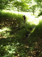 P1040011.JPG