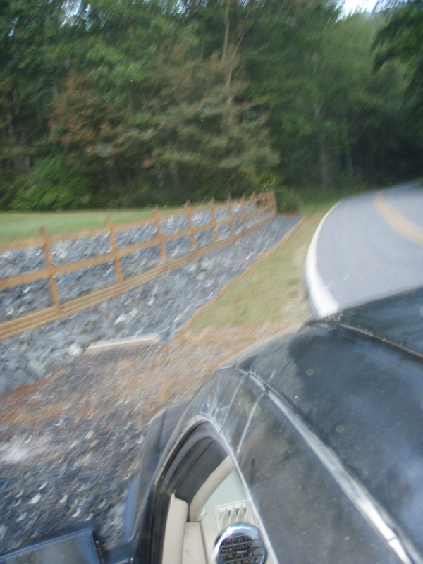 P9080027.JPG