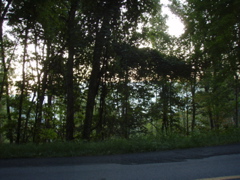 P9080030.JPG