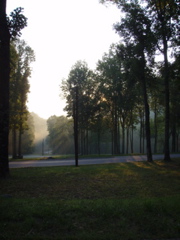 P9080031.JPG