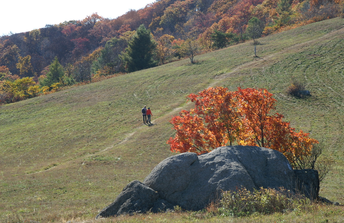 PICT1694.JPG