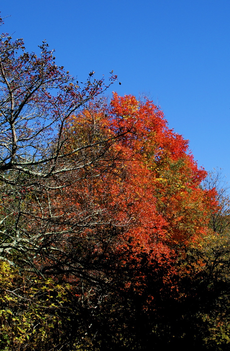 PICT1645.JPG