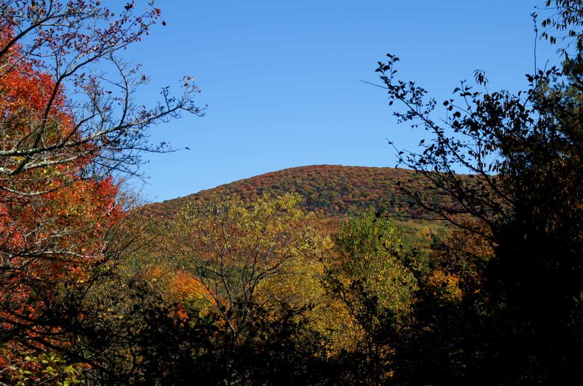 PICT1646.JPG