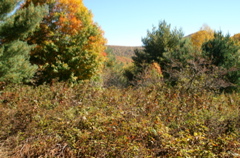 PICT1641.JPG