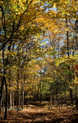 PICT1652.JPG