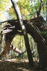 PICT1653.JPG