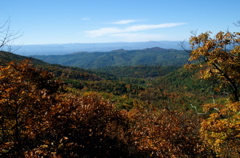 PICT1655.JPG