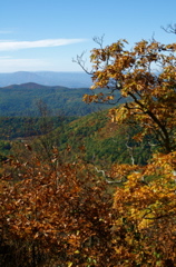 PICT1657.JPG