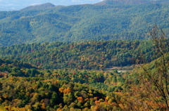 PICT1659.JPG