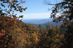 PICT1660.JPG