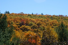 PICT1643.JPG