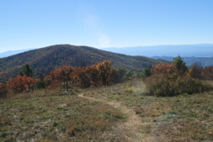 PICT1666.JPG