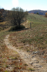PICT1673.JPG