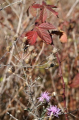 PICT1684.JPG