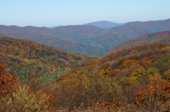 PICT1689.JPG