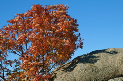 PICT1690.JPG