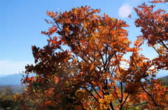 PICT1691.JPG