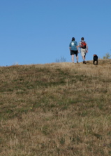 PICT1693.JPG