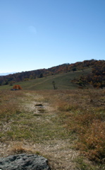 PICT1697.JPG