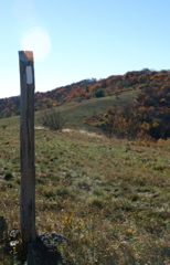 PICT1698.JPG