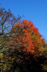 PICT1645.JPG