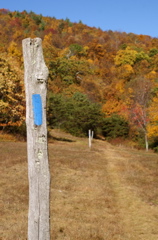 PICT1647.JPG